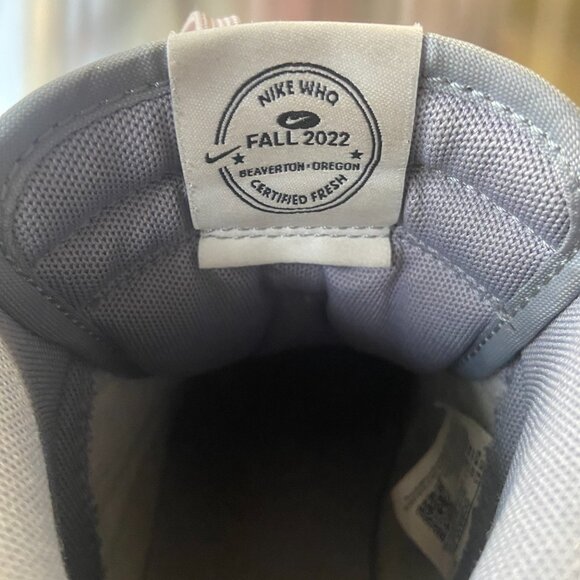 Nike Dunk High Premium Certified Fresh Particle Grey - Picture 4 of 5